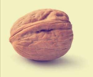 Omega-3 fatty acids (Walnut)