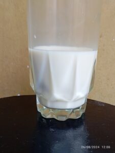 Fertility foods for women (Milk)