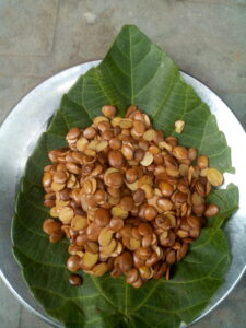 African Locust Bean