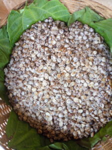 Fermented African Locust Bean